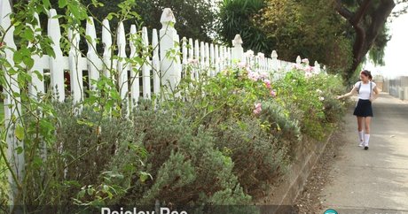 Paisley Rae HD女優 画像