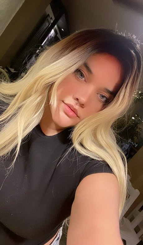 Honeygiri HDモデル 写真