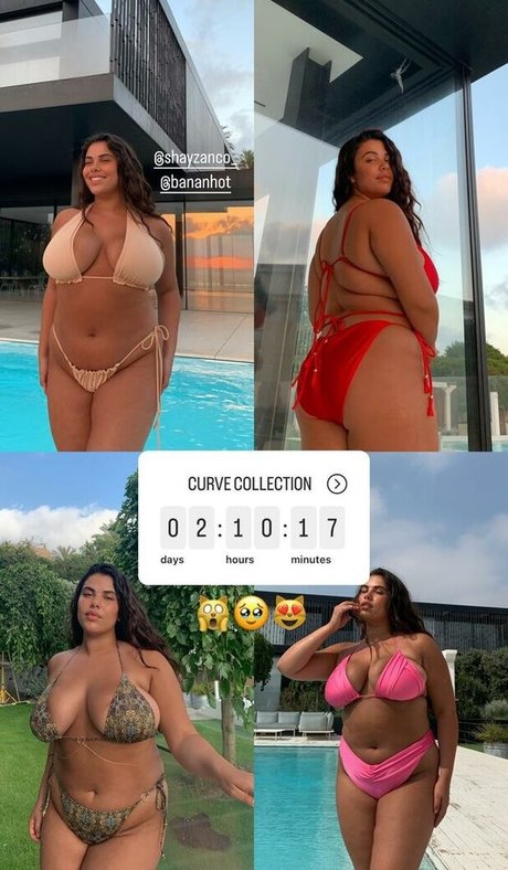 Shay Zanco アートスター ギャラリー