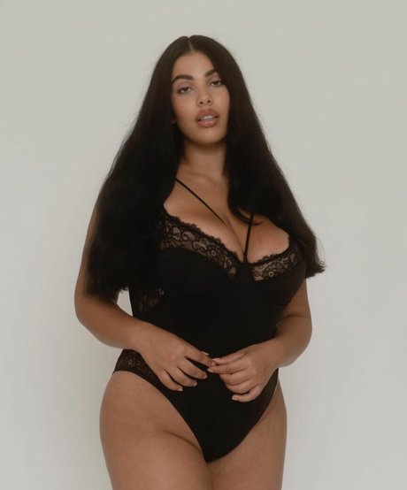 Shay Zanco トップスター アーカイブ