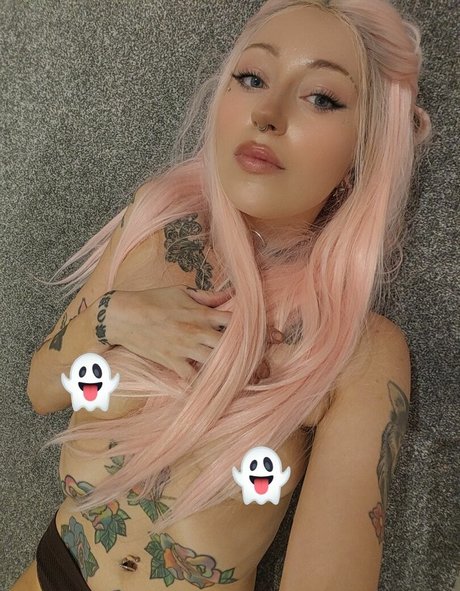 Almalexia 限定モデル 写真