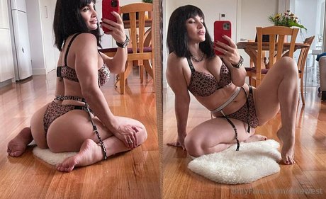 nikawest 独占スター ギャラリー