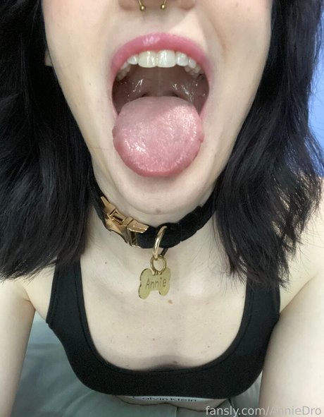 AnnieDro 限定スター 写真