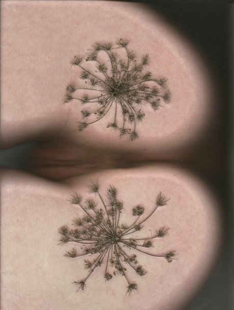 bb apathy ポルノスター 画像