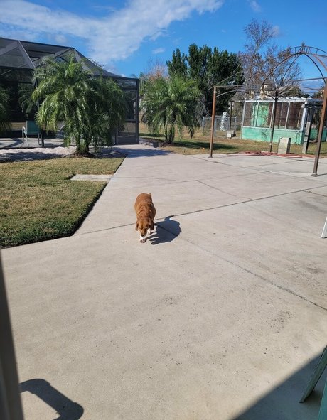 ブロンドのお尻オンリーファンズ 無料ポルノ 画像