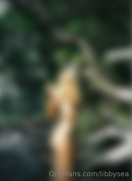 libbsea プロフィール写真