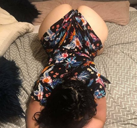 massiveassmegfree ポルノスター ギャラリー