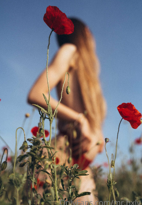 アーミーガールズオンリーファン ホットヌード ギャラリー