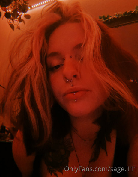 sage 111 スター アーカイブ