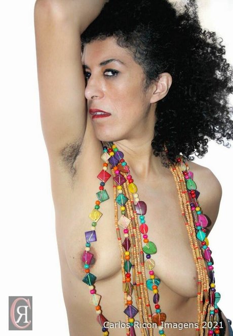 Ilka 限定モデル アーカイブ