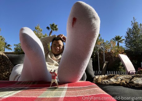 黒檀の指入れオンリーファンズ 無料 写真