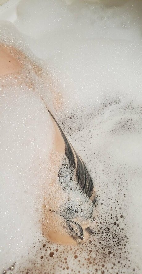 littleeevee66 素敵なスター 画像