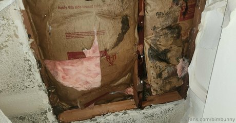 bimbunny セックスモデル 写真