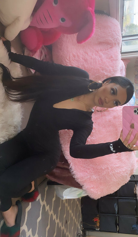 wetaja アートスター 写真