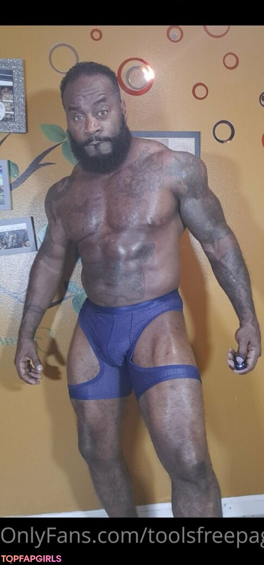 toolsfreepage セクシーなスター ギャラリー