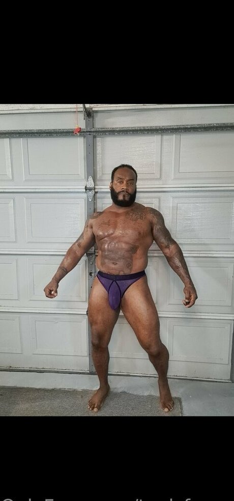 ワックスオンリーファン ホットポルノ 画像