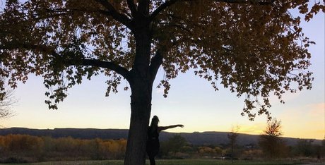 acidaddict 写真集