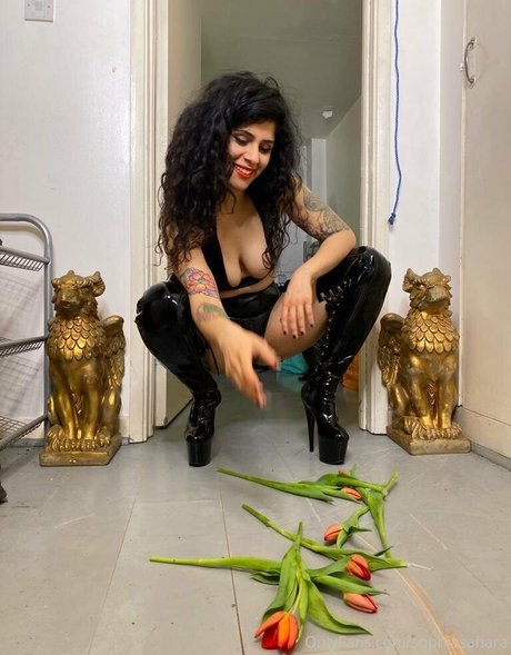 mistresssophiasahara 限定スター ギャラリー