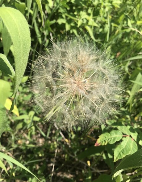 harperlane スター ヌード 画像