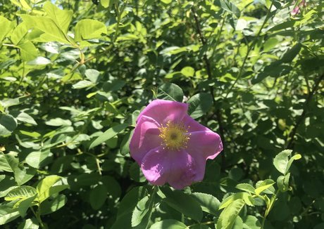 harperlane セクシーモデル 画像