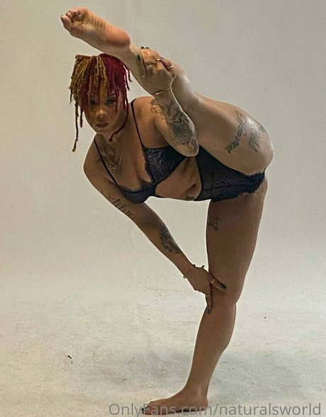 Naturalsworld 高品質モデル 写真