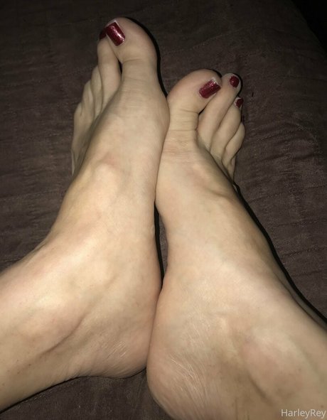 harleyrey セックス女優 画像