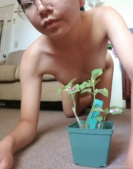 本物のオンリーファンズ 無料アダルト 画像