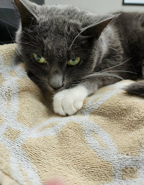 ティーンレズビアンオンリーファンズ ポルノグラフィック 写真