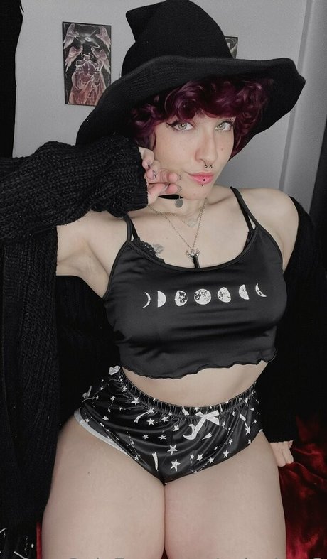 colechyv2 独占ポルノスター アーカイブ