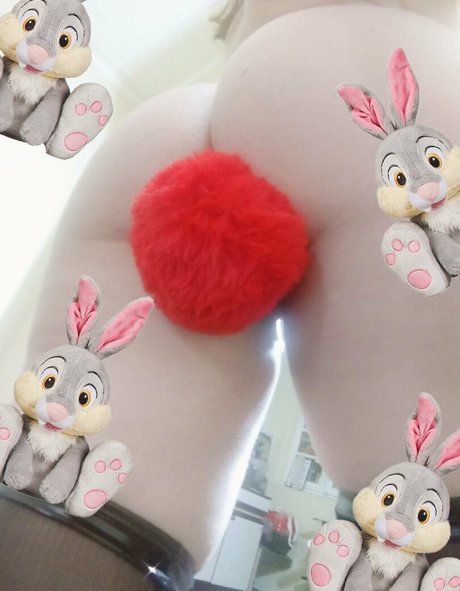 imanna HDスター アーカイブ