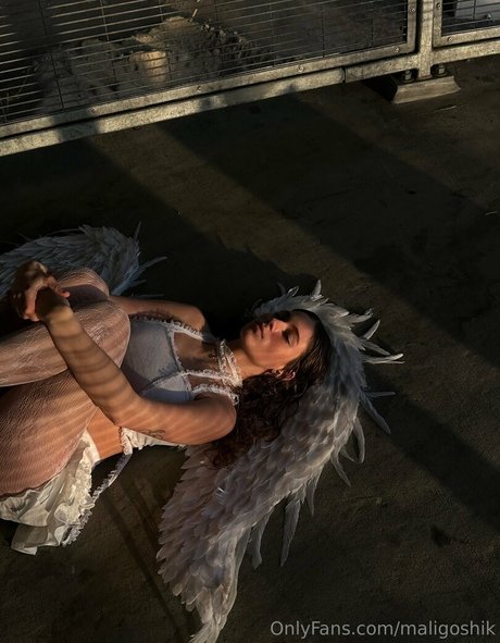 maligoshik ポルノスター 裸 写真