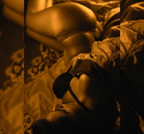 Foxy Queen HDモデル 写真