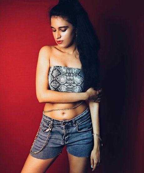 Foxy Queen 素敵なスター 画像