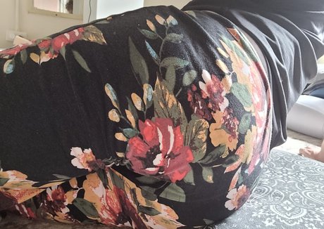 NicoKnut 無料スター 写真