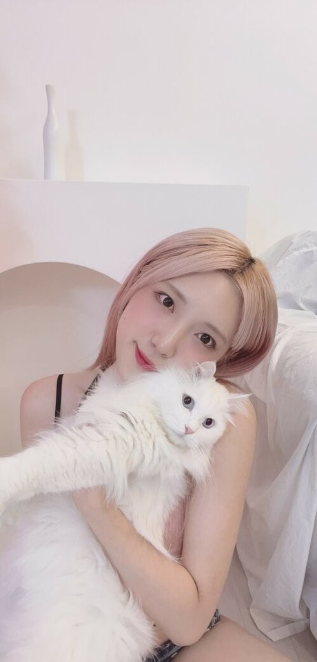 lluchiaa 完璧なポルノスター 写真