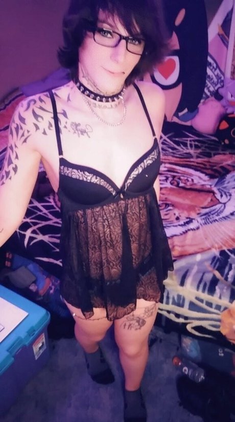 SoftBoxBoi トップスター 写真