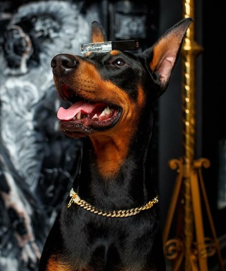 足 熟女 オンリーファンズ セクシーxxx ギャラリー