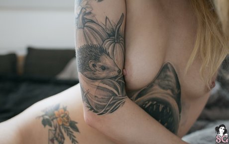 Teeth Sg ポルノスター アーカイブ