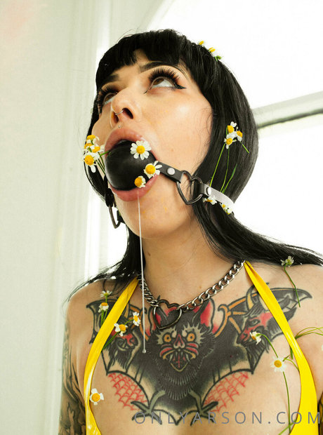 Arson Leigh 無料のポルノスター 画像