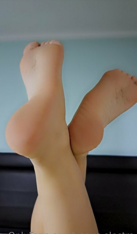 venus electra HDモデル 写真