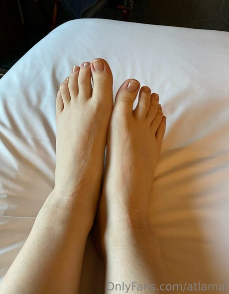 atlamai プロフィール写真