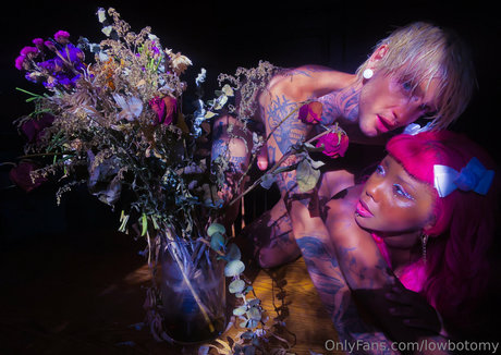 lowbotomy ポルノスター ベスト 写真