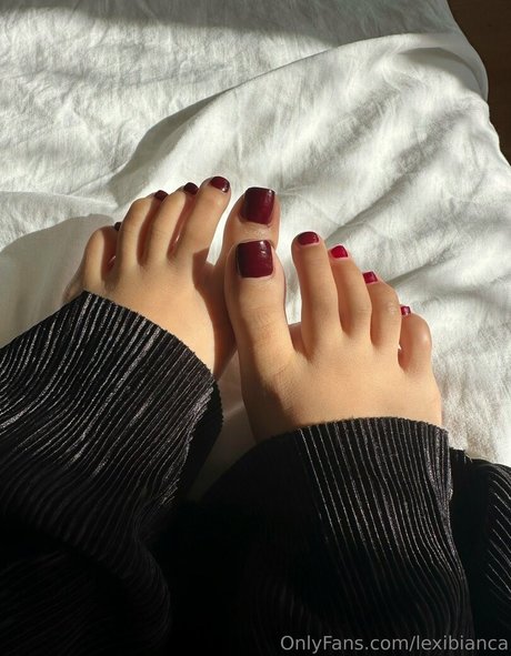 lexialonso 限定スター アーカイブ