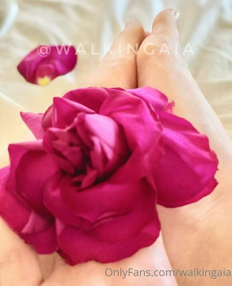 walkingaia 素敵なポルノスター 写真