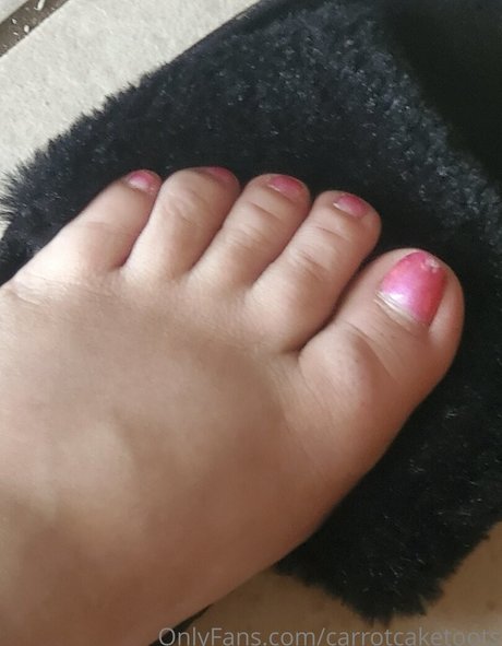 carrotcaketoots アートスター アーカイブ