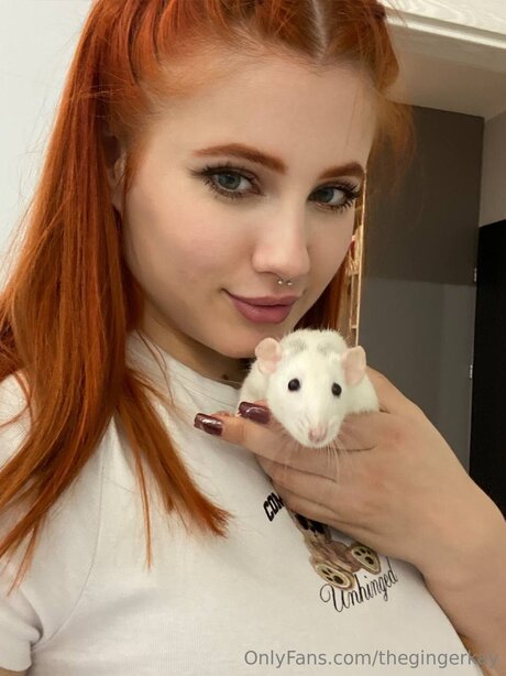 南部のオンリーファンズ ポルノ 写真