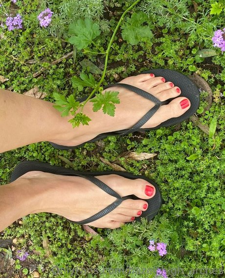 hazel high arches 素敵な女優 画像