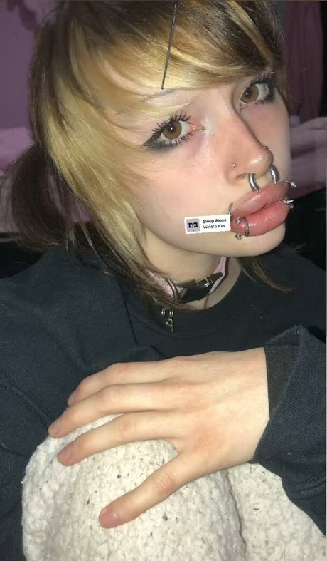 puppy xox アートポルノスター 写真