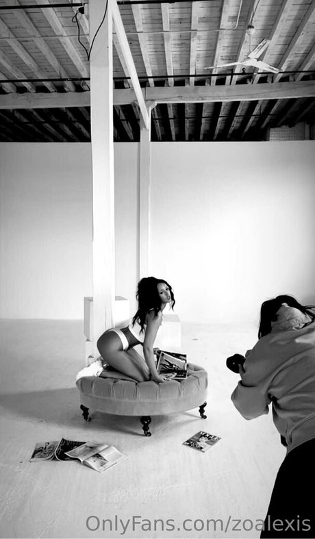 zoalexis HDモデル 画像