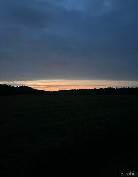 i sophie 最高のポルノスター 写真